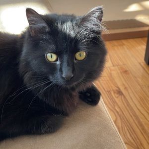 Meet your Posher, Jorge